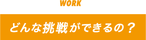 どんな挑戦ができるの？