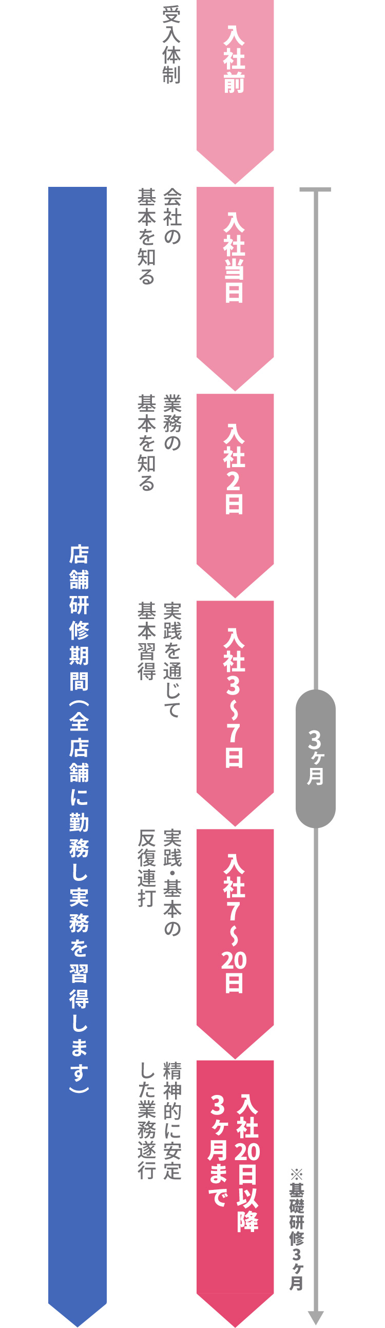 社員研修制度の流れ